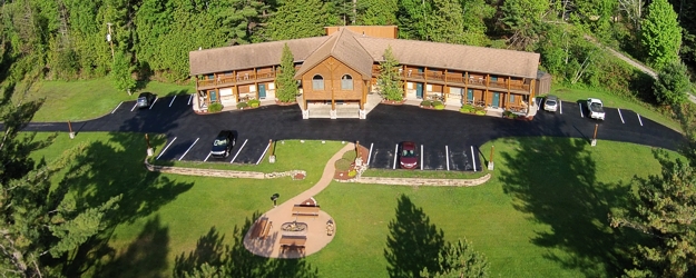 a close up of a lush green forest
