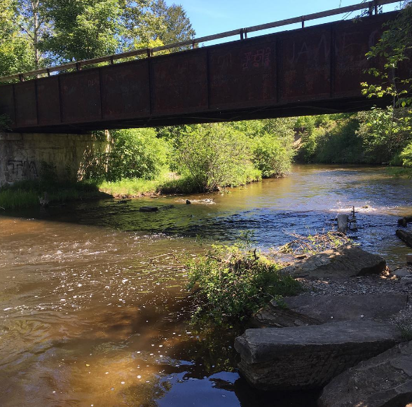 a train crossing a bridge over a body of water